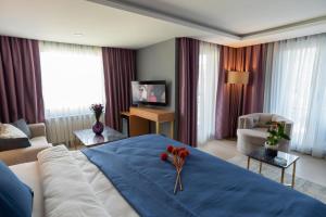 伊斯坦布尔Malta Bosphorus Hotel的一间带大床的卧室和一间客厅