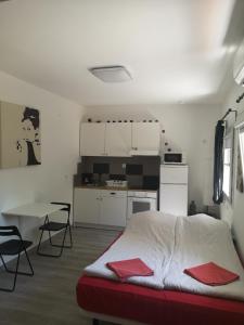 比利亚维西奥萨-德奥东Madrid Green的配有床和桌子的房间以及厨房