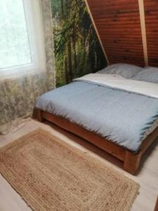 苏普拉希尔Dom w Puszczy的一间卧室设有床、窗户和地毯。