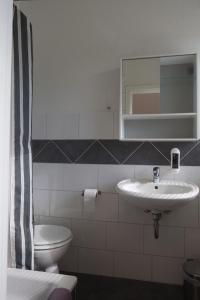 弗伦斯堡Flensbed Hotel & Hostel的一间带水槽、卫生间和镜子的浴室