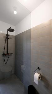 林茨CHARMANTES APARTMENT im Herzen von Linz的带淋浴和卫生纸的浴室