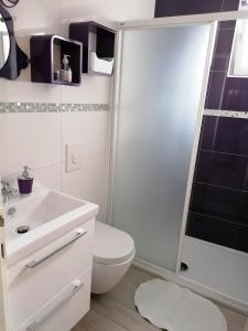 比奥格勒·纳·莫鲁Apartments Perla的白色的浴室设有卫生间和淋浴。