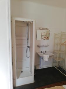蓬托尔松Le XIV酒店的带淋浴和盥洗盆的浴室