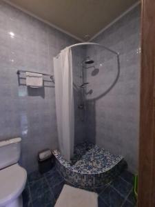 PivdenneACAPULCO的带淋浴、卫生间和盥洗盆的浴室