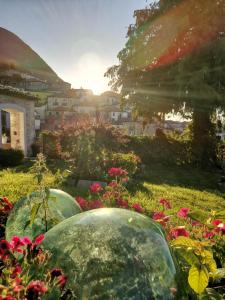 GuardiaregiaIl Palazzetto dei Briganti的一座花园,花园内种植了粉红色的鲜花和玻璃瓶