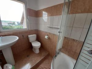 皮亚特拉-尼亚姆茨Pensiunea Alessia的浴室配有卫生间、盥洗盆和淋浴。