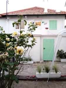塞尔塞迪利亚El Abuelo Paco的白色的房子,有绿门和鲜花