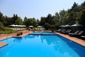 皮拉尔La Posta del Pilar Hotel & Spa的一个带躺椅和遮阳伞的大型蓝色游泳池