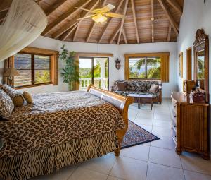 维尔京戈尔达岛TAMAR VILLA的一间大卧室,配有一张豹纹床和一张沙发