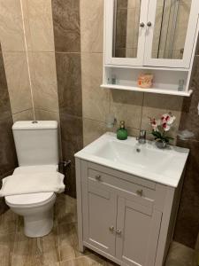 大特尔诺沃Apartment Zdravets的浴室配有白色水槽和卫生间。
