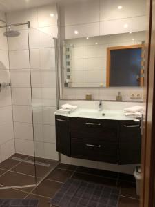 奥格斯堡市长公寓的一间带水槽和镜子的浴室