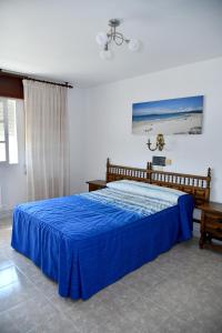 阿兰扎达Hotel Maruxa的一间卧室配有一张带蓝色床罩的床