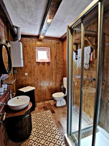 PleternicaApartment Slavonska Kuća的一间带玻璃淋浴和卫生间的浴室