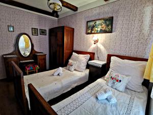 PleternicaApartment Slavonska Kuća的一间卧室设有两张单人床和一面镜子