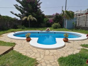 下布雷尼亚Finca Los Álamos的院子里有两株盆栽植物的游泳池