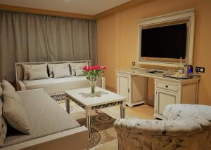 丹吉尔El Oumnia Puerto & Spa的带沙发和电视的客厅