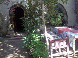 卢克索努尔埃尔格鲁纳酒店的花园配有桌椅和一棵树