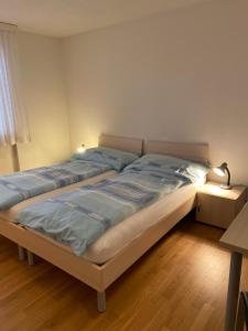 Uzwil豪斯2号服务式公寓的一间卧室配有一张带蓝色床单和一盏灯的床。