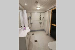 罗瓦涅米Arctic Circle Tranquillity的带淋浴、盥洗盆和卫生间的浴室