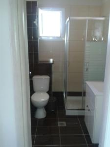 阿穆迪亚全景公寓式酒店的浴室配有卫生间、淋浴和盥洗盆。
