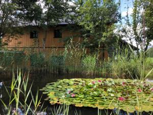 巴特奥塞Ausseer Chalet (nahe Hallstatt), Appartements的花池和房子的背景