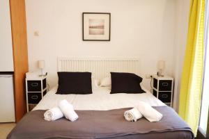 赫罗纳Girona La Lleona的一间卧室配有一张大床和两个枕头