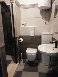 波斯蒂拉Apartments Ivana的一间带卫生间和水槽的小浴室