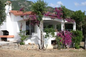 泰尔泰尼亚Vacanza in Ogliastra的白色的房子,花草繁茂