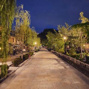 京都京都祗园JAM旅舍的一条满是树木和灯光的空街