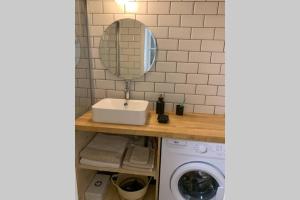 维希Vichy Cocoon Appartements的一间带水槽和镜子的浴室以及一台洗衣机