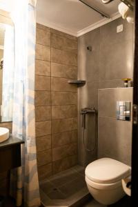 法纳里恩法纳利酒店 的一间带卫生间和淋浴的浴室