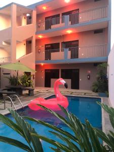巴拉德纳维达Hotel Del Mar的大楼前的游泳池里的一个粉红色火烈鸟