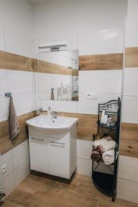 伊赫拉瓦Útulná garsonka v přírodě pro 2 osoby的一间带水槽和镜子的浴室