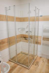 伊赫拉瓦Útulná garsonka v přírodě pro 2 osoby的浴室设有玻璃门淋浴