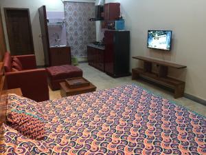 拉合尔One Bed Studio Apartment near Shaukat Khanum的一间带床和电视的客厅