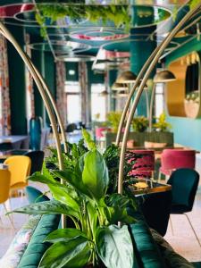 比尔什托纳斯Ego SPA的一间布满植物和椅子的房间