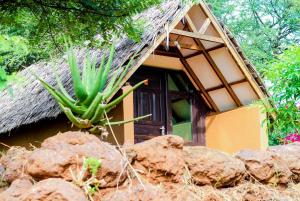 安博塞利Teen Ranch Kenya的草屋顶和仙人掌的小房子