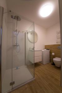 斯维诺乌伊希切Wyspa Uznam Apart Baltic的一间带玻璃淋浴和卫生间的浴室
