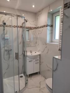 Rycerka GórnaAPARTAMENT Magurka的带淋浴、卫生间和盥洗盆的浴室