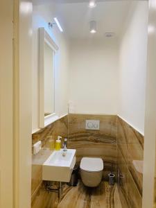 布拉格潘克拉克酒店的浴室配有白色卫生间和盥洗盆。
