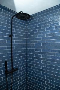 费尔普Tukken op de Tol的蓝色的浴室设有蓝色瓷砖墙和淋浴