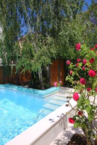 科托尔阿尔奇马酒店的一座种满鲜花和围栏的游泳池