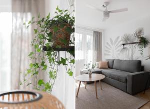 索波特Home3city Green 300 m do morza的客厅配有沙发和桌子