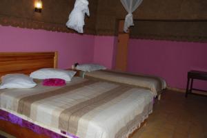 TamgroutParadise in the desert of Morocco的配有粉红色和紫色墙壁的客房内的两张床