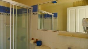 沃伊沃伊水滨汽车旅馆的带淋浴、卫生间和镜子的浴室