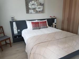 罗登山毛榉下住宿加早餐旅馆的一间卧室配有一张带红色枕头的大床