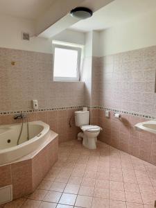 布拉迪斯拉发奥伦酒店的带浴缸、卫生间和盥洗盆的浴室
