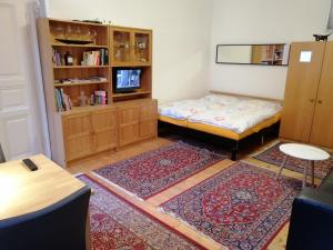 维也纳市中心附近舒适公寓的一间设有床和书架的房间