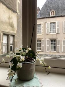 拉瓦勒Studio dans une grande maison médiévale au centre historique de Laval的坐在窗台上的盆栽植物