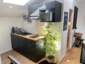 阿让Le Bistrot - Au Coeur d'Agen - Self Checkin - Wifi - Netflix - Smart TV - Luqs fr的一间厨房,配有黑色橱柜和植物